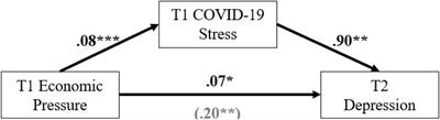 Predicting Parental Mental Health During COVID-19: Economic Pressure, COVID-19 Stress, and Coping Strategies